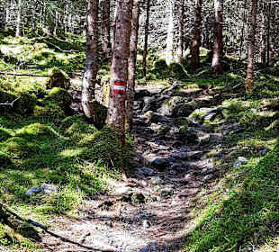 Wandergebiet Sportgastein