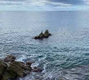Kristallklares Wasser