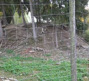 Erlebnisbauernhof und Wildgehege