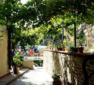 Altstadt von Collioure