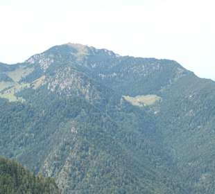 Blick vom Unternberg zur Bergwelt der Alpen