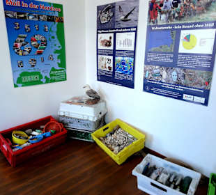 Sonderthema Meeresverschmutzung