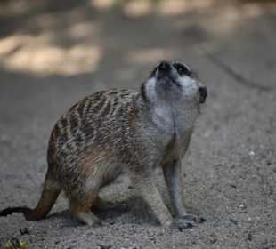 Tierpark Hamm 
