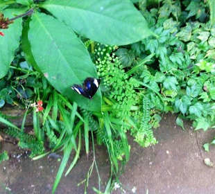 Klein aber immer in Bewegung