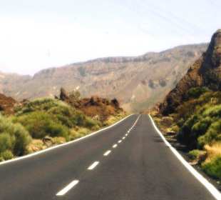 Straße durch den Nationalpark