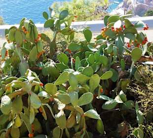 Santorin selbst im Bild Landschaft, Stadt