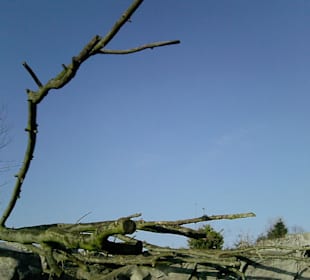 Schöne Impressionen bei blauem Himmel