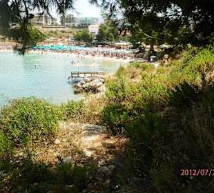 Trochę zieleni na plaży w Ksamil