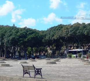 The Mall Gardens