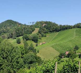 Blick Richtung Aussichtswarte und Kapelle