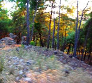 Sulahikulle - Vergessene Stadt