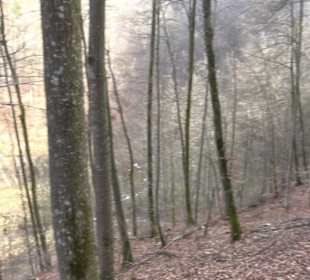 Wolfsschlucht