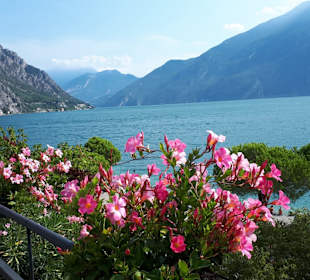 Wandern Limone