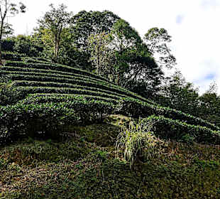 Maokong Gondel - Rund um Maokong Station 