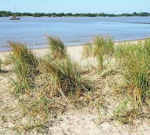 Eindrücke vom Strand am Rissener Ufer