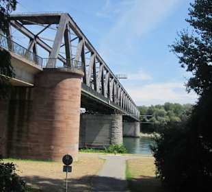 Am Rhein in Germersheim