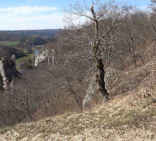 Burgruine Neugutenstein