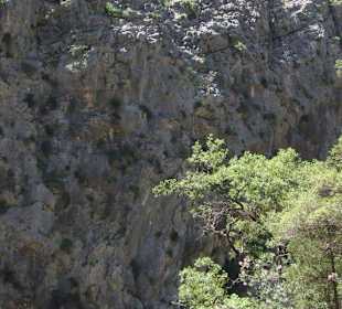 Im Canyon