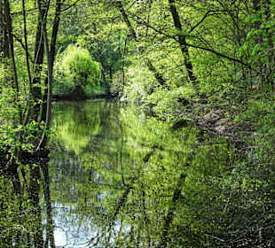 Rundgang durch den Hermann-Löns-Park