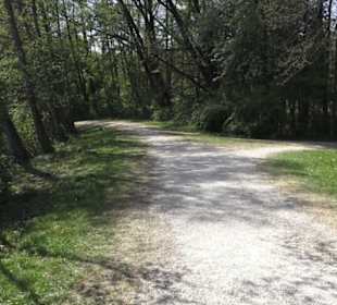 Wanderweg Hochgehwachsen