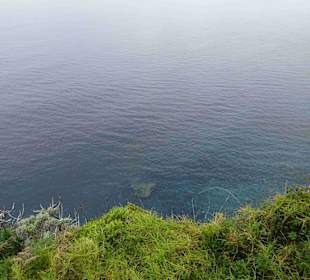 Inselrundfahrt Madeira
