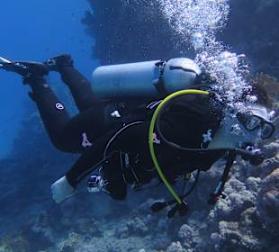 Tauchen Marsa Alam