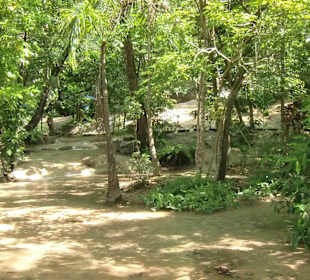Weg zum Wasserfall