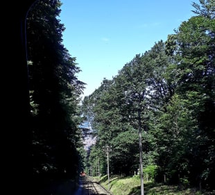 Fahrt mit der Königstuhlbahn