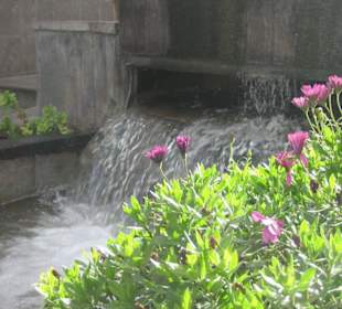 Firgas - Paseo de Gran Canaria