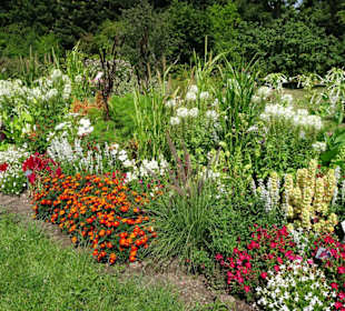 Rundgang durch den Ökologisch-Botanischen Garten
