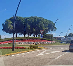 Willkommen in Blumenform