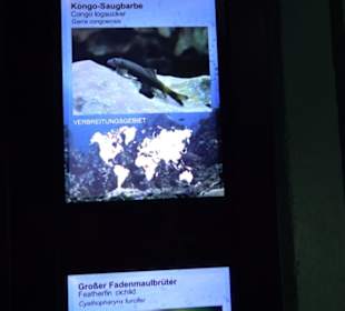 Tierpark Hellabrunn - Fische