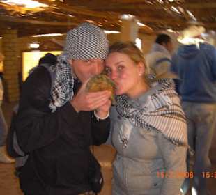 Schildkröte im Reptilienhaus