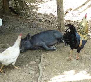 Bergritt - Rast bei einheimischer Familie