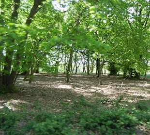Naturschutzgebiet Boberger Niederung