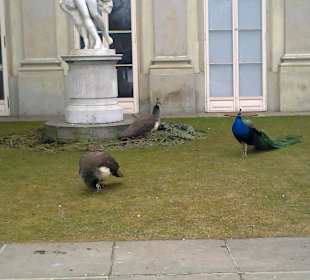 Łazienki wczesną wiosną.