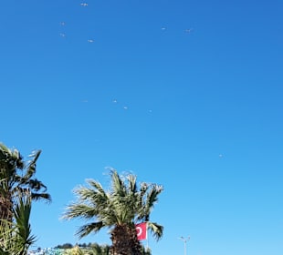 Strandpromenade Kusadasi