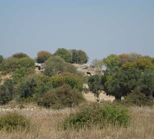 Von weit zu sehen-Odeon (Theater)