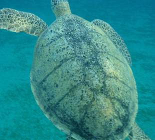 Nejkrásnější šnorchlování