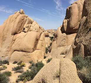 Joshua Tree National Park