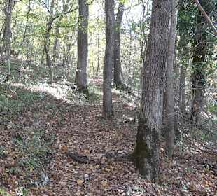 Wandertour "Rund um den Rossberg" Öschingen