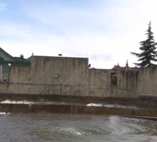 Mystery - River Quest