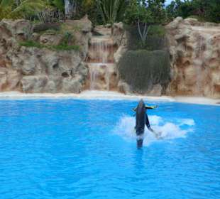 Shows und Unterhaltung