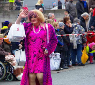 Nürnberger-Faschingsumzug 2014 