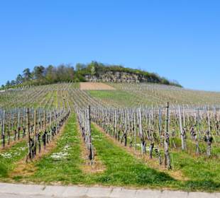 Hier startet links der Wanderweg
