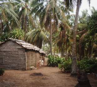Ausflug-Samana