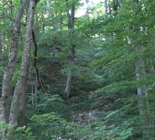 Burgruine Andeck Talheim