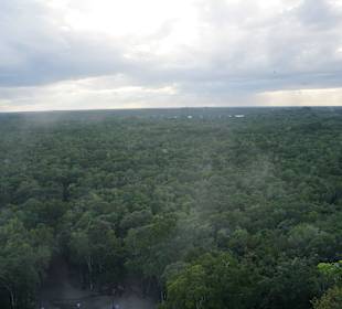 Ausblick