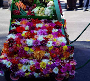 Stadtverband Kleingärtner Fürth Festwagen