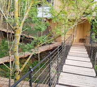 Wellnessbereich Mawell Resort 